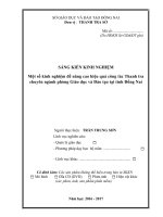 skkn một số KINH NGHIỆM để NÂNG CAO HIỆU QUẢ CÔNG tác THANH TRA CHUYÊN PHÒNG GIÁO dục và đào tạo tại TỈNH ĐỒNG NAI 