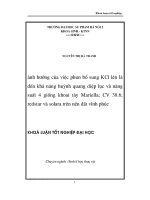 Ảnh hưởng của việc phun bổ sung KCL lên lá đến khả năng hùynh quang diệp lục và năng suất 4 giống khoai tây Mariella; CV38.6; Redstar trên nền đất Vĩnh Phúc (Khóa luận tốt nghiệp)