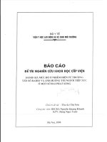 Đánh giá mức độ ô nhiễm điện từ trường tần số radio và ảnh hưởng tới người tiếp xúc ở một số đài phát sóng   1999 (tt) 