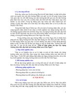 skkn một số biện pháp chỉ đạo xây dựng trường tiến tiến cấp tỉnh tại trường mầm non cẩm ngọc 