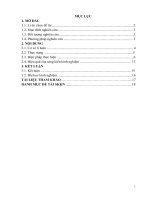 skkn một số biện pháp nâng cao chất lượng hoạt động tạo hình(thể loại vẽ) cho trẻ 4 5 tuổi ở trường mầm non định liên 