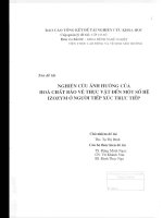 Nghiên cứu ảnh hưởng của hóa chất bảo vệ thực vật đến một hệ số IZOZYM ở người tiếp xúc trực tiếp   2003 (tt) 