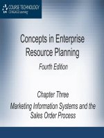 Concepts in enterprise resource planning 4th marketing information systems ch03 