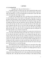 SKKN một số kinh nghiệm huy động trẻ trong độ tuổi mẫu giáo đến trường ở trường mầm non tân lập 