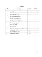 Một số kinh nghiệm rèn kĩ năng làm văn miêu tả cho học sinh lớp 5 trường tiểu học cẩm châu, huyện cẩm thủy 