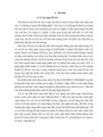 Xây dựng văn hóa nhà trường thông qua việc chỉ đạo xây dựng môi trường học tập thân thiện 