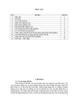 skkn biện pháp giáo dục trẻ khuyết tật hòa nhập ở trường tiểu học nguyên bình b 