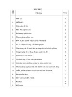 Một số kinh nghiệm hướng dẫn học sinh lớp 5 làm các bài văn miêu tả 