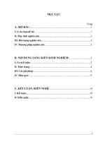 Một số kinh nghiệm dạy tác phẩm trữ tình trong chương trình ngữ văn bậc THCS ở trường THCSTHPT như thanh 