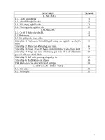 Rèn kĩ năng giải toán về tỉ số phần trăm cho học sinh lớp 5  