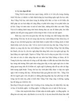 Một số giải pháp chỉ đạo công tác dạy và học giúp HS lớp 5 phân biệt từ nhiều nghĩa   từ đồng nghĩa, từ đồng âm 