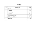 Đổi mới phương pháp quản lý học sinh bằng những biện pháp giáo dục tích cực ở trường tiểu học cẩm chẩu 