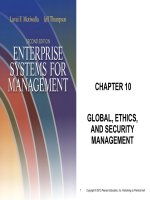 Enterprise systems for management 2nd by motiwalla and thompson chapter 10 