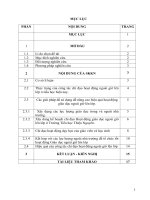 Chỉ đạo hoạt động giáo dục ngoài giờ lên lớp ở trường tiểu học thiệu nguyên nhằm nâng cao chất lượng giáo dục toàn diện 