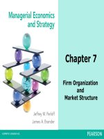 Managerial economics  strategy by m perloff and brander  chapter 7 organization and market structure 