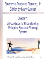 Enterprise resource planning 1st by mary summer chapter 01 