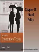 Isues in economics today 6th by guell  chapter09 