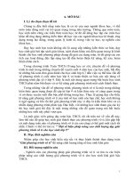 Một số biện pháp nâng cao chất lượng dạy giải phương trình vô tỷ cho học sinh lớp 9 