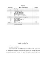 Nâng cao chất lượng quản lí “giữ vở sạch   viết chữ đẹp” ở trường tiểu học 