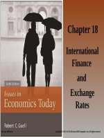 Isues in economics today 6th by guell  chapter18 