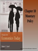 Isues in economics today 6th by guell  chapter10 