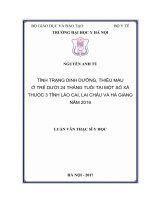 Tình trạng dinh dưỡng, thiếu máu ở trẻ dưới 24 tháng tuổi tại một số xã thuộc 3 tỉnh lào cai, lai châu và hà giang năm 2016 