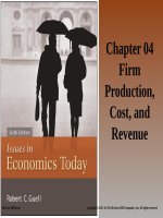 Isues in economics today 6th by guell  chapter04 