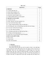 SKKN một số biện pháp chỉ đạo xây dựng môi trường hoạt động và giáo dục bảo vệ môi trường ở trường mầm non 