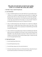 Mẫu phân tích tình hình tài chính doanh nghiệp