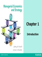 Managerial economics  strategy by m perloff and brander  chapter 1 introduction 