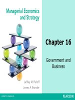 Managerial economics  strategy by m perloff and brander  chapter  16 government and business 