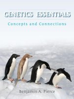 GENETICS ESSENTIALS