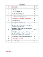 Một số biện pháp chỉ đạo các câu lạc bộ hoạt động có hiệu quả ở trường tiểu học lương sơn 1, huyện thường xuân 