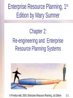 Enterprise resource planning 1st by mary summer chapter 02 