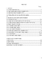 Một số kinh nghiệm rèn kĩ năng viết bài văn tự sự lớp 6  