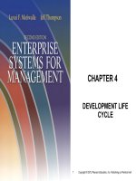 Enterprise systems for management 2nd by motiwalla and thompson chapter 03