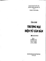 Giáo trình thương mại điện tử căn bản (tái bản lần thứ 3) 