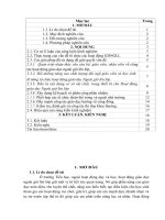 Một số biện pháp chỉ đạo nâng cao chất lượng hoạt động giáo dục ngoài giờ lên lớp cho học sinh ở trường tiểu học trường lâm 
