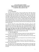 Một số kinh nghiệm dạy dạng toán phân tích đa thức thành nhân tử ở trường THCS hoằng anh 