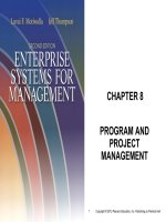 Enterprise systems for management 2nd by motiwalla and thompson chapter 09