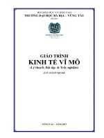 Giáo trình kinh tế vĩ mô (lý thuyết, bài tập  trắc nghiệm) 