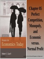 Isues in economics today 6th by guell  chapter05 