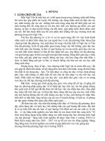 Một số kinh nghiệm dạy tiết luyện nói thuyết minh một thứ đồ dùng 