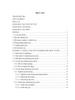 Giải pháp hoàn thiện hoạt động marketing trực tuyến cho sản phẩm giày dép bita’s của công ty TNHH sản xuất hàng tiêu dùng bình tân
