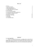 Phát triển tư duy cho học sinh lớp 6a3 trường THCS nguyễn văn trỗi thông qua giải bài toán số học 