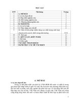 Một số biện pháp chỉ đạo nâng cao chất lượng sinh hoạt chuyên môn của tổ, khối ở trường TH đông hải 1 