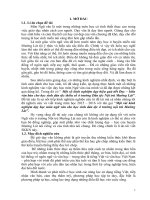 Một số kinh nghiệm dạy hiệu quả tiết đọc hiểu văn bản cho học sinh dân tộc thiểu số ở trường DTNT mường lát 