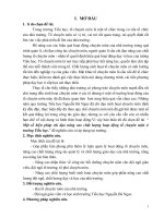 Một số biện pháp chỉ đạo nâng cao chất lượng hoạt động tổ chuyên môn ở trường tiểu học  