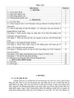 Một số biện pháp chỉ đạo nhằm nâng cao hiệu quả trong công tác tổ chức câu lạc bộ violympic toán qua internet  