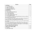 SKKN một số kinh nghiệm xây dựng kỷ cương, nền nếp trong công tác quản lý nhà trường 